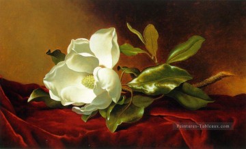 Un Magnolia sur un velours rouge ATC romantique fleur Martin Johnson Heade Peinture à l'huile